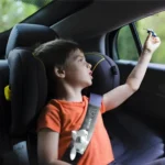 Coussin Ceinture Voiture Peluche Forest™