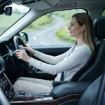 Accessoire ergonomique voiture pour douleur au dos
