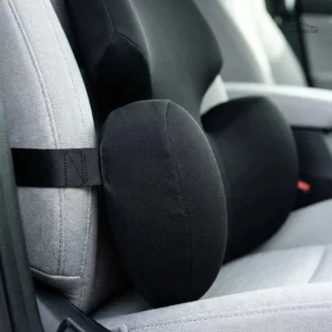 Coussin papillon noir pour soutien dorsal en voiture