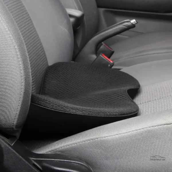 Accessoire voiture pour bien-être du dos