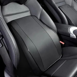 Kit lombaire et cervical pour voiture DriveBack™