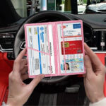 Accessoire véhicule : pochette carte grise Shiny™