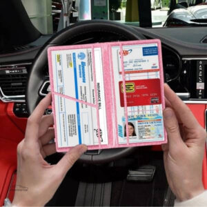Accessoire véhicule : pochette carte grise Shiny™
