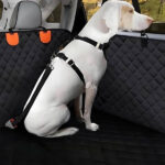 Accessoire auto pour chien DogSeat™