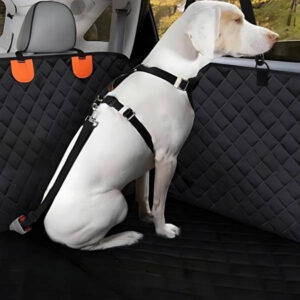 Accessoire auto pour chien DogSeat™