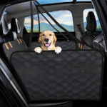 DogSeat™ : sécurité et confort en voiture