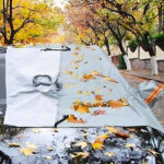 Accessoire automobile AllWeather™ pour pare-brise