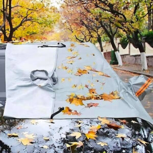 Accessoire automobile AllWeather™ pour pare-brise